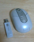 mouse